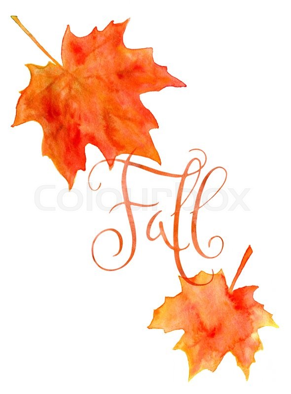 590x800 Orange Watercolor Autumn Maple Leaves And Handwritten Word Fall - Fall Watercolor