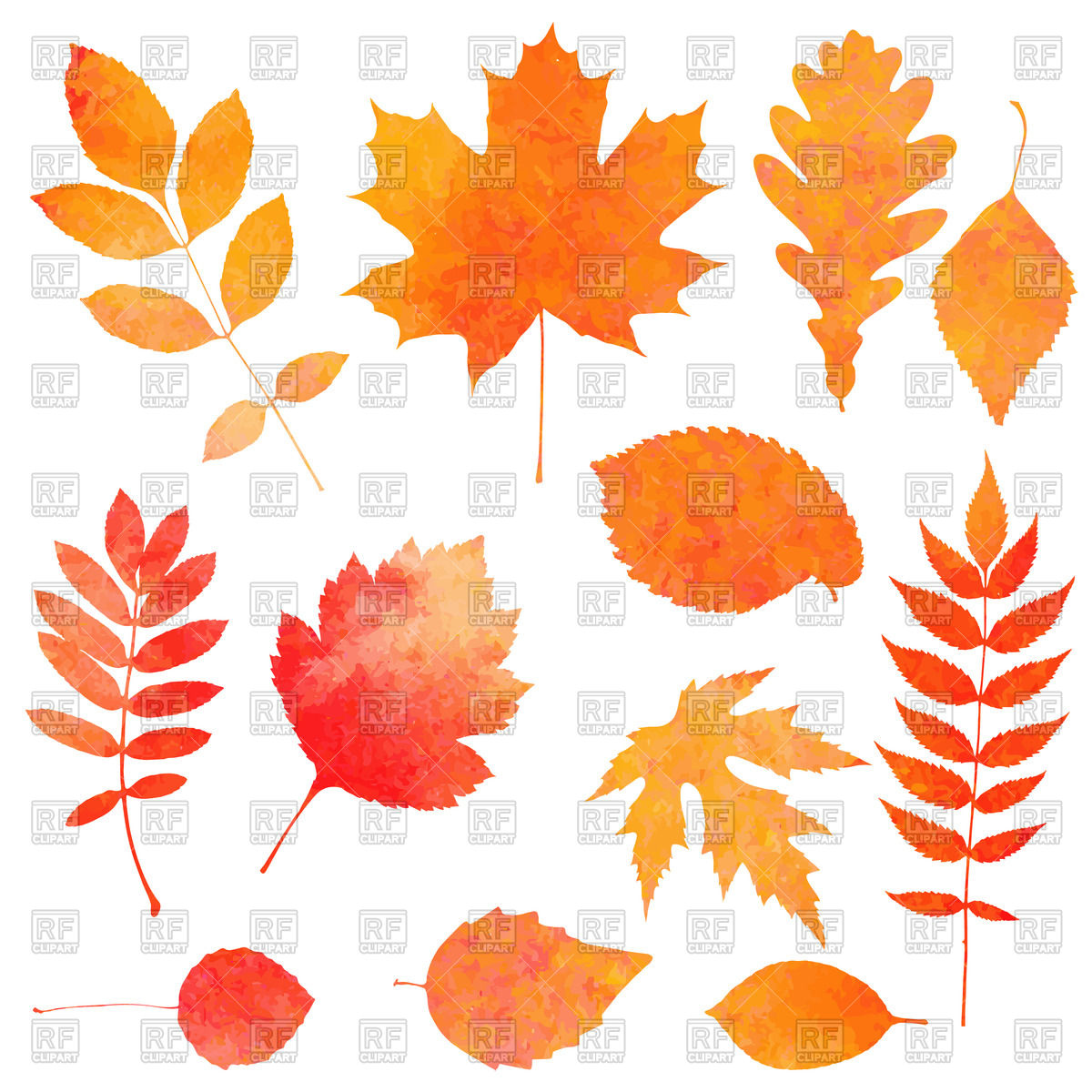 1200x1200 Collection Of Orange Watercolor Autumn Leaves Vector Image - Fall Watercolor