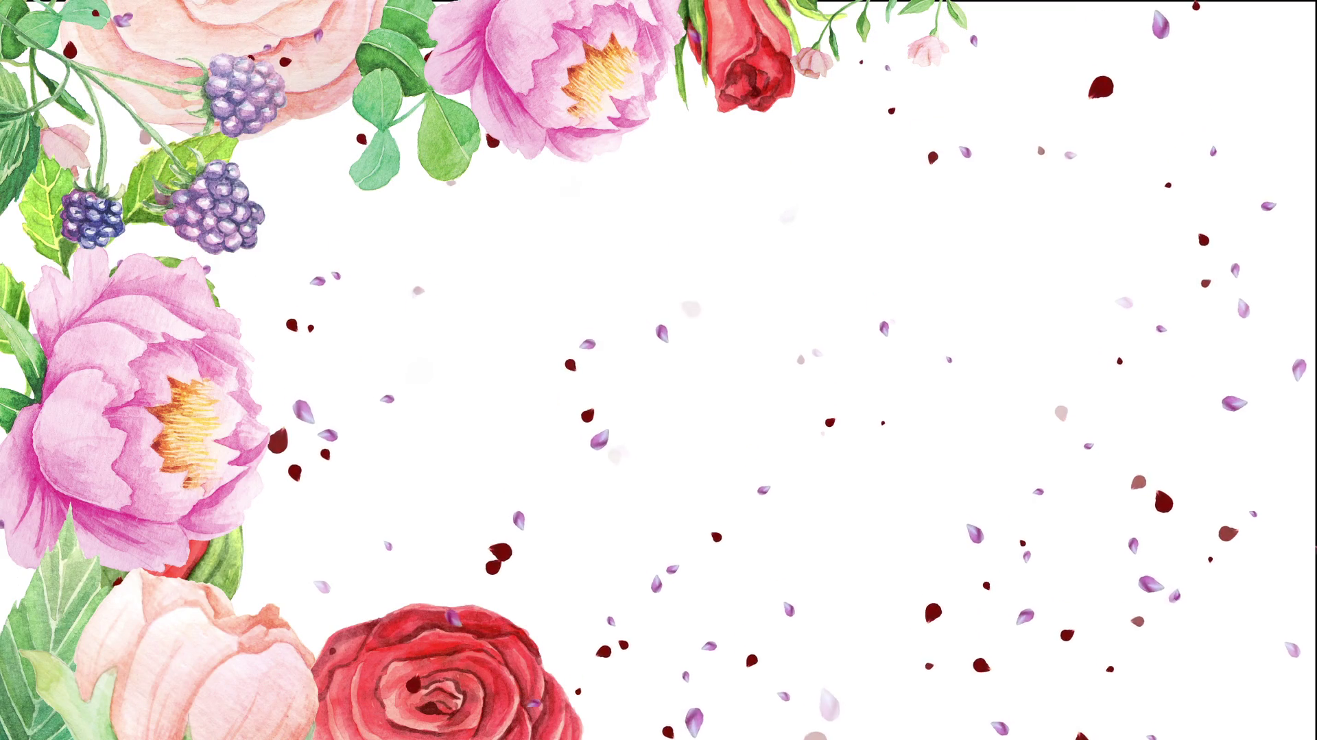 1920x1080 White Flowers Falling Motion Background - Fall Watercolor Flowers