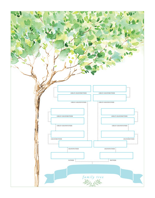 500x636 Family Tree Chart Watercolor Design - Family Tree Watercolor