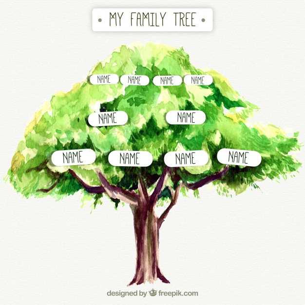 626x626 Pretty Genealogical Tree Of Watercolor Vector Free Download - Family Tree Watercolor