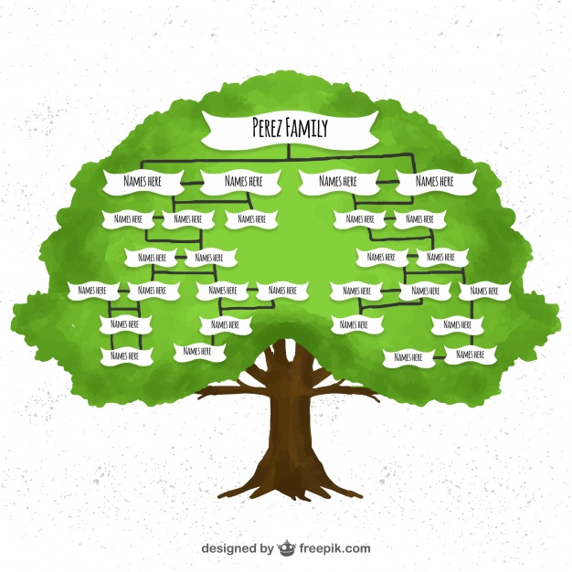 626x626 Watercolor Family Tree Vector Free Download - Family Tree Watercolor