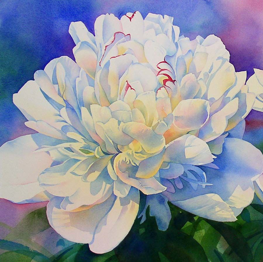 900x895 Barbara Fox ~ Watercolor Painter Art Paintings - Famous Watercolor Flower Paintings