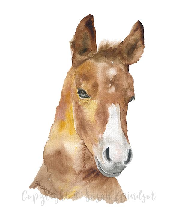 580x725 Farm Animals Watercolor Art Print Set Susan Windsor - Farm Animal Watercolor