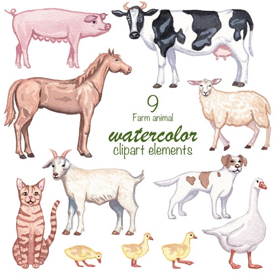 570x570 Watercolor Clipart Farm Animals Clipart Set Watercolor Etsy - Farm Animal Watercolor