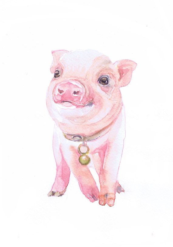 570x816 Baby Pig Art Farm Animals Watercolor Painting Nursery Decor Boy - Farm Animal Watercolor