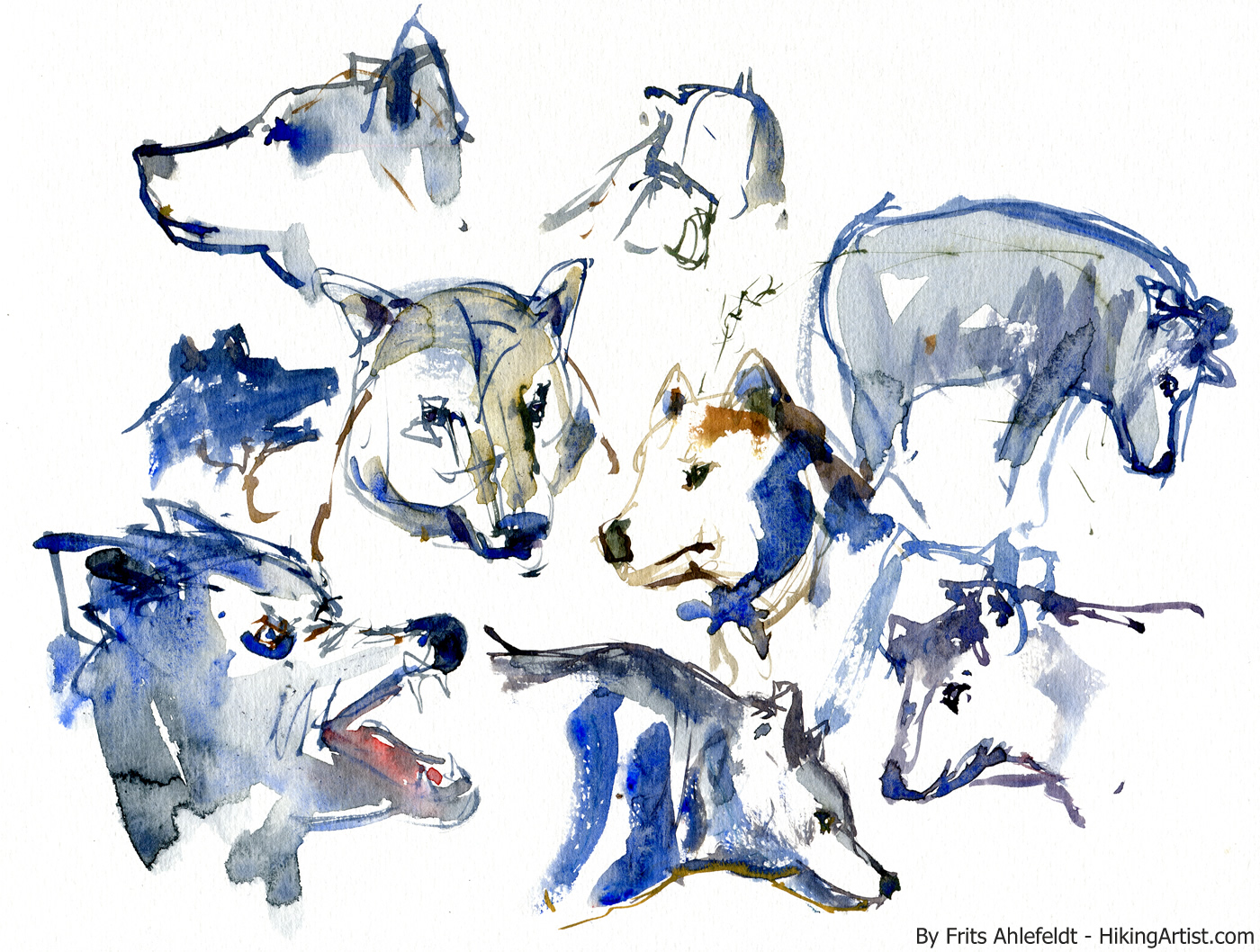 1400x1058 Wolf Watercolor Sketches The Hiking Artist Project By Frits - Fast Watercolor
