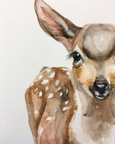 236x295 32 Best Watercolor Deer Images In 2018 Watercolor - Fawn Watercolor