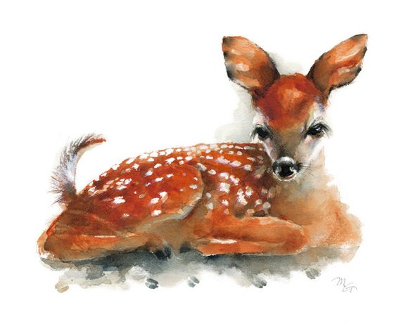 570x461 Deer Fawn Giclee Print Of Watercolor Painting. Art Print. Etsy - Fawn Watercolor