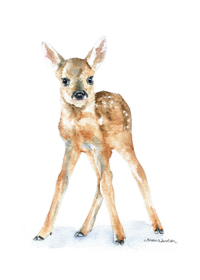 700x980 Deer Fawn Watercolor 1 Susan Windsor Watercolors - Fawn Watercolor