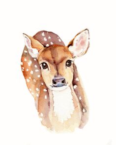 236x294 Deer Fawn Watercolor Painting - Fawn Watercolor