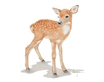 340x270 A3 Fawn Watercolour Print Fawn Watercolor Nursery Print Deer Etsy - Fawn Watercolor
