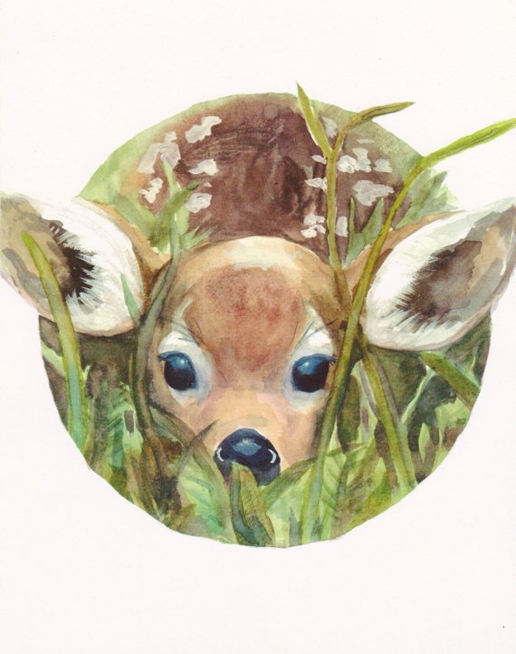 570x722 Fawn In High Grass Print Deer Watercolor Nature Cute Etsy - Fawn Watercolor