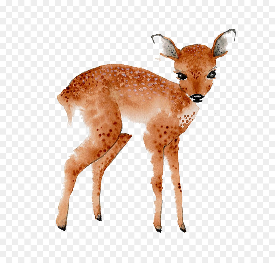 900x860 Textile Printing Watercolor Painting Cotton - Fawn Watercolor