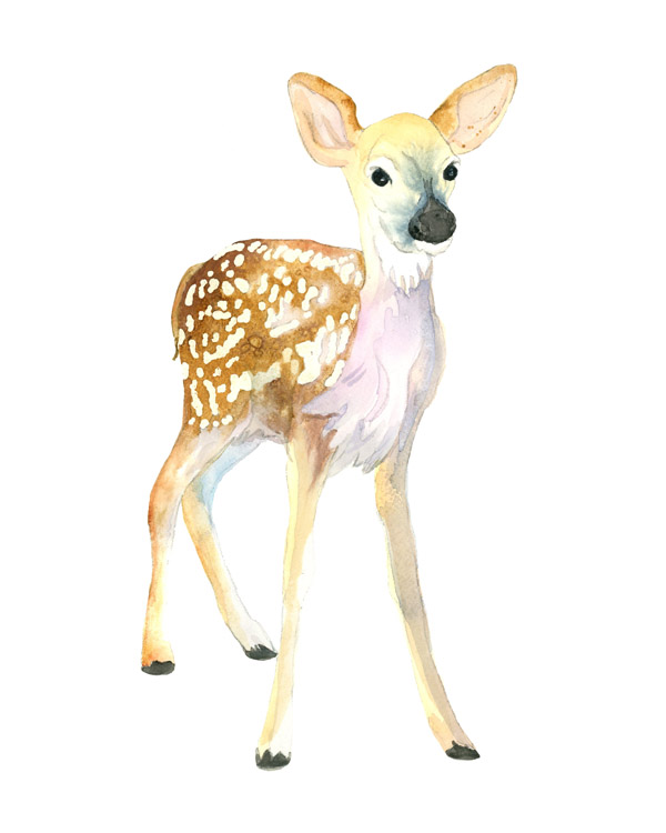600x750 Watercolor Rachel Parris Illustration - Fawn Watercolor