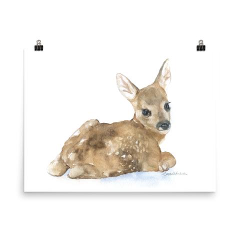 480x480 Animals Susan Windsor - Fawn Watercolor