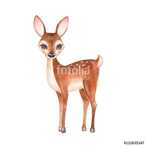 500x500 Baby Deer. Hand Drawn Cute Deer. Cartoon Illustration, Isolated On - Fawn Watercolor