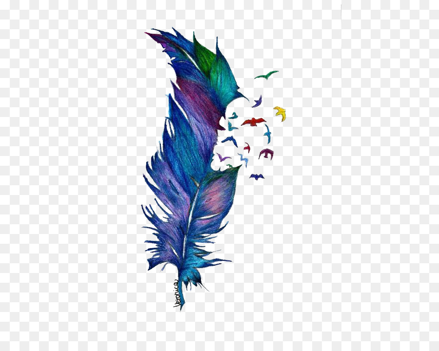 900x720 Bird Drawing Feather Watercolor Painting Tattoo - Feather Watercolor Tattoo