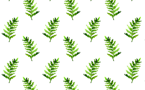 470x291 Fern In Watercolor On The White Wallpaper - Fern Watercolor