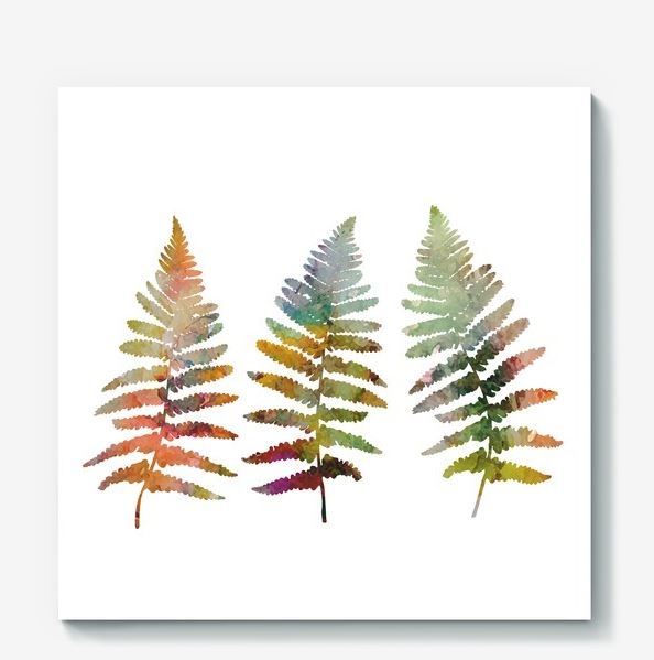 594x599 Fern Leaves Illustration In Watercolor Design Bundles - Fern Watercolor