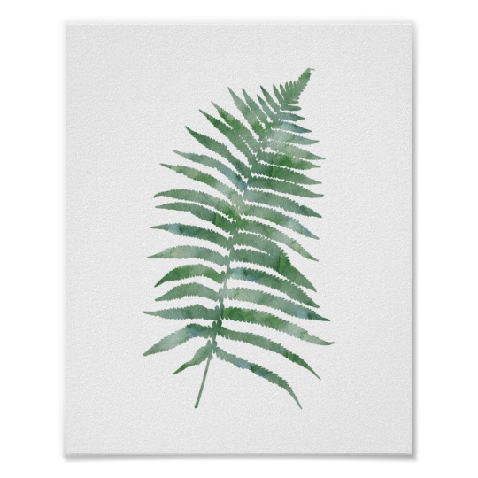 540x540 Botanical Fern Leaf Green Watercolor Nature Plant Poster - Fern Watercolor