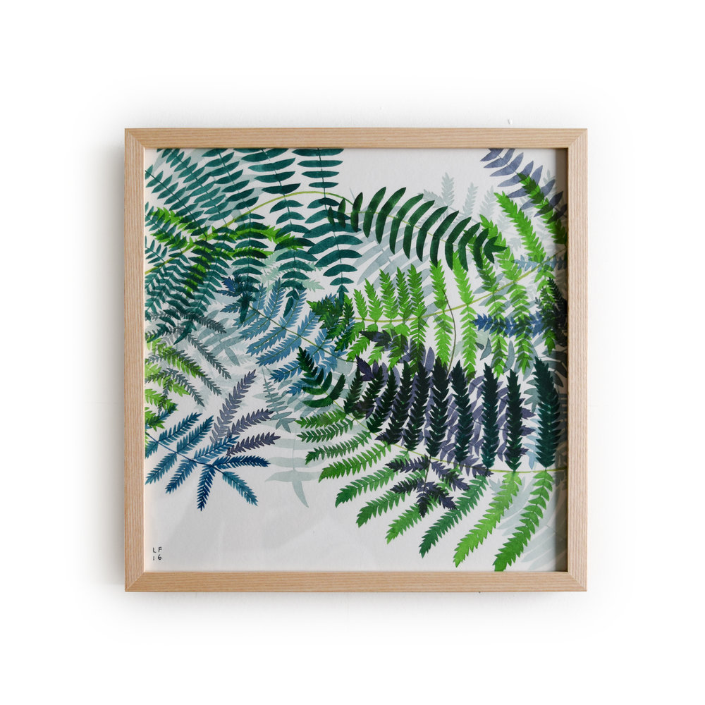 Fern Watercolor at PaintingValley.com | Explore collection of Fern ...