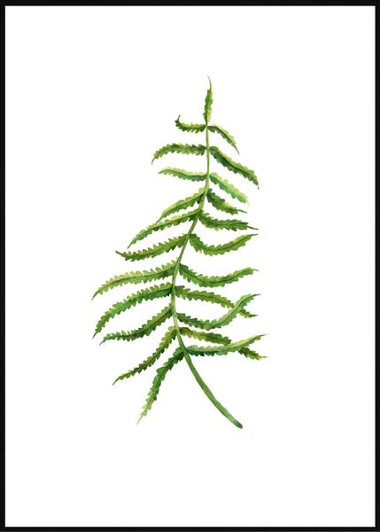 429x600 Watercolor Fern Leaf - Fern Watercolor