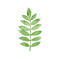 190x190 Watercolor Green Fern By Spreadshirt - Fern Watercolor