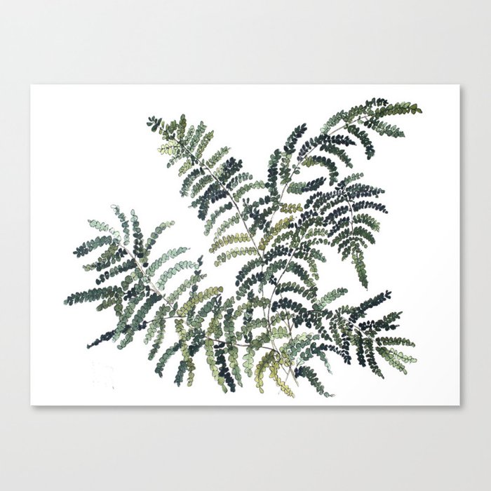 700x700 Woodland Fern Botanical Watercolor Illustration Painting Canvas - Fern Watercolor