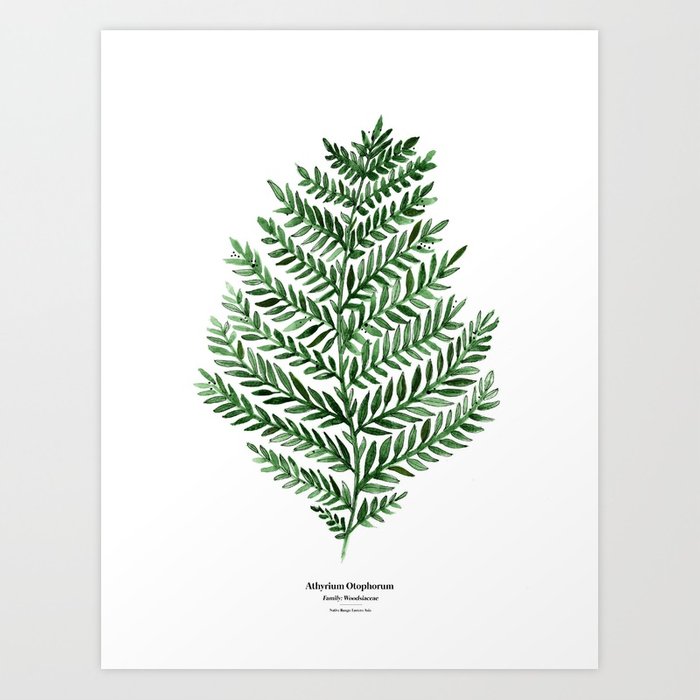 700x700 Botanical Iii - Fern Watercolor