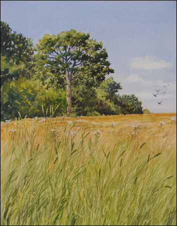 353x450 June Grass Fields The Art Of Geraldine Mckeown - Field Watercolor