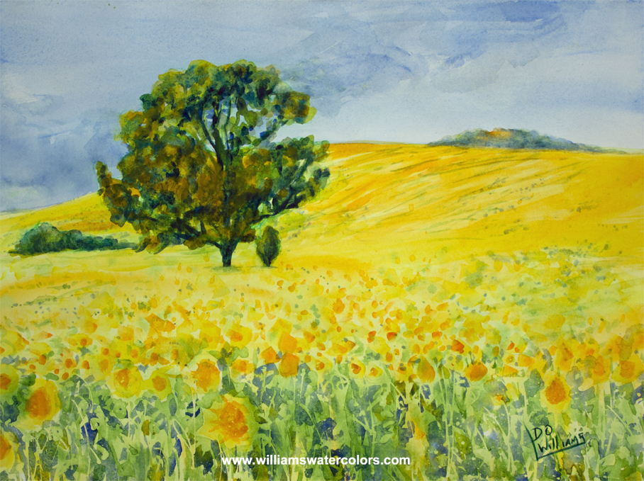 908x679 Sunflower Prairie - Field Watercolor
