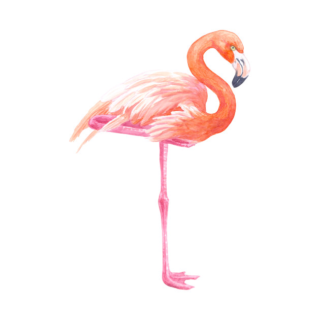 630x630 Flamingo Watercolor - Flamingo Watercolor