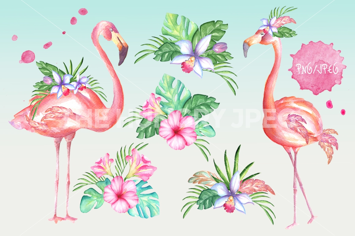 1160x772 Pink Flamingo Watercolor Set By Art Dreams - Flamingo Watercolor