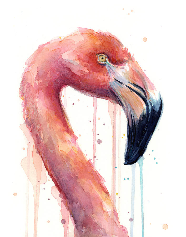 707x900 Flamingo Painting Watercolor - Flamingo Watercolor