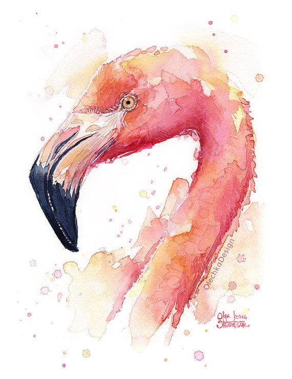 570x738 Flamingo Watercolor Painting, Flamingo Art Print, Pink Bird - Flamingo Watercolor Art