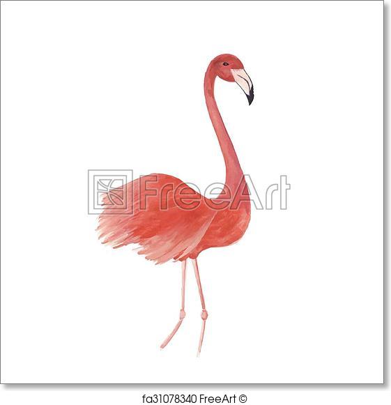 561x581 Free Art Print Of Flamingo Watercolor Isolated Bird Vector - Flamingo Watercolor Art
