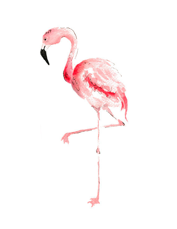 570x738 Pink Flamingo Watercolor Painting Print, Flamingo Wall Art - Flamingo Watercolor Art