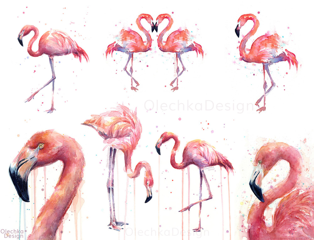 1000x765 Flamingo Art Olechka Design - Flamingo Watercolor Art