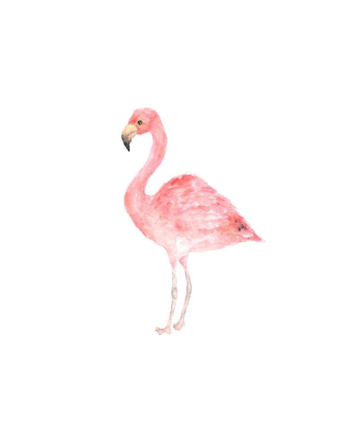 1200x1500 Flamingo Painting Fresh Watercolor Bird Bird Painting Watercolor - Flamingo Watercolor Art