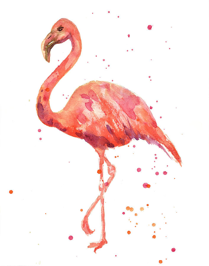 707x900 Flamingo Paintings Fine Art America - Flamingo Watercolor Art
