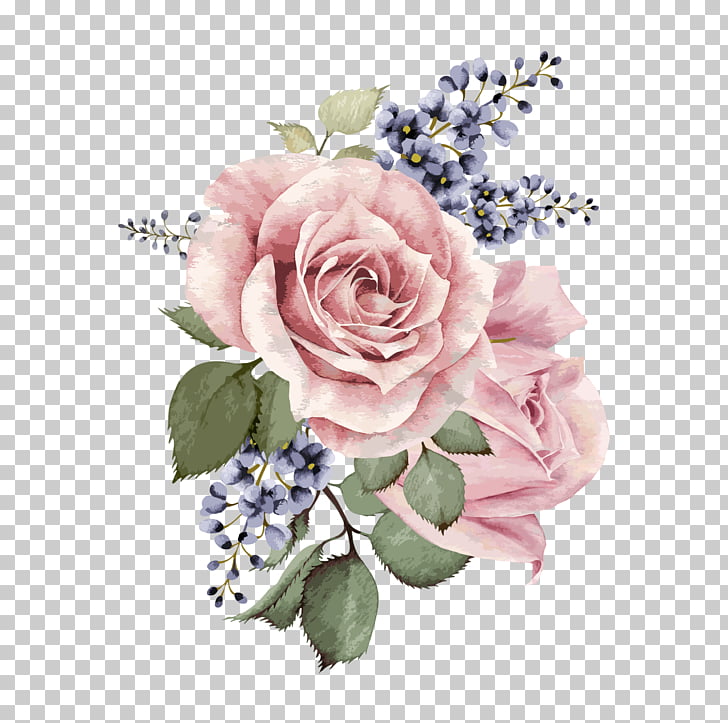 728x723 Centifolia Roses Garden Roses Floral Design Pink Cut Flowers, Hand - Floral Watercolor