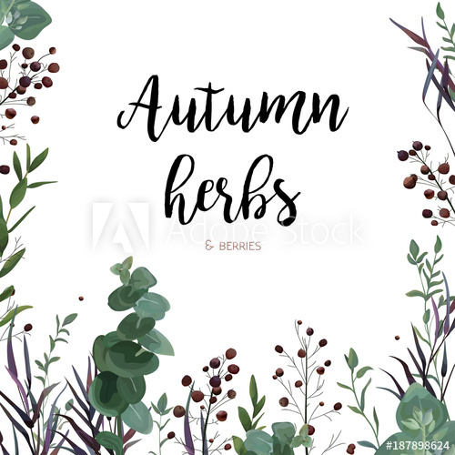 500x500 Vector Floral Watercolor Style Card Design Eucalyptus Seeded - Floral Watercolor Border