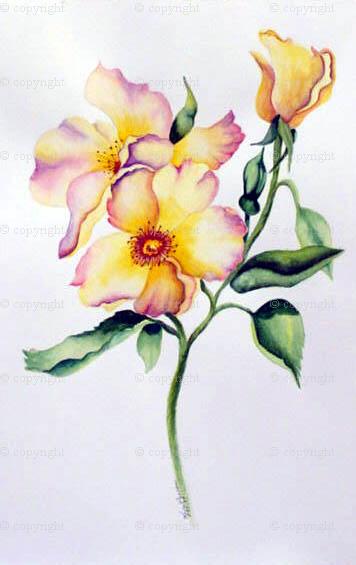356x565 Floral Paintings - Flower Art Watercolor