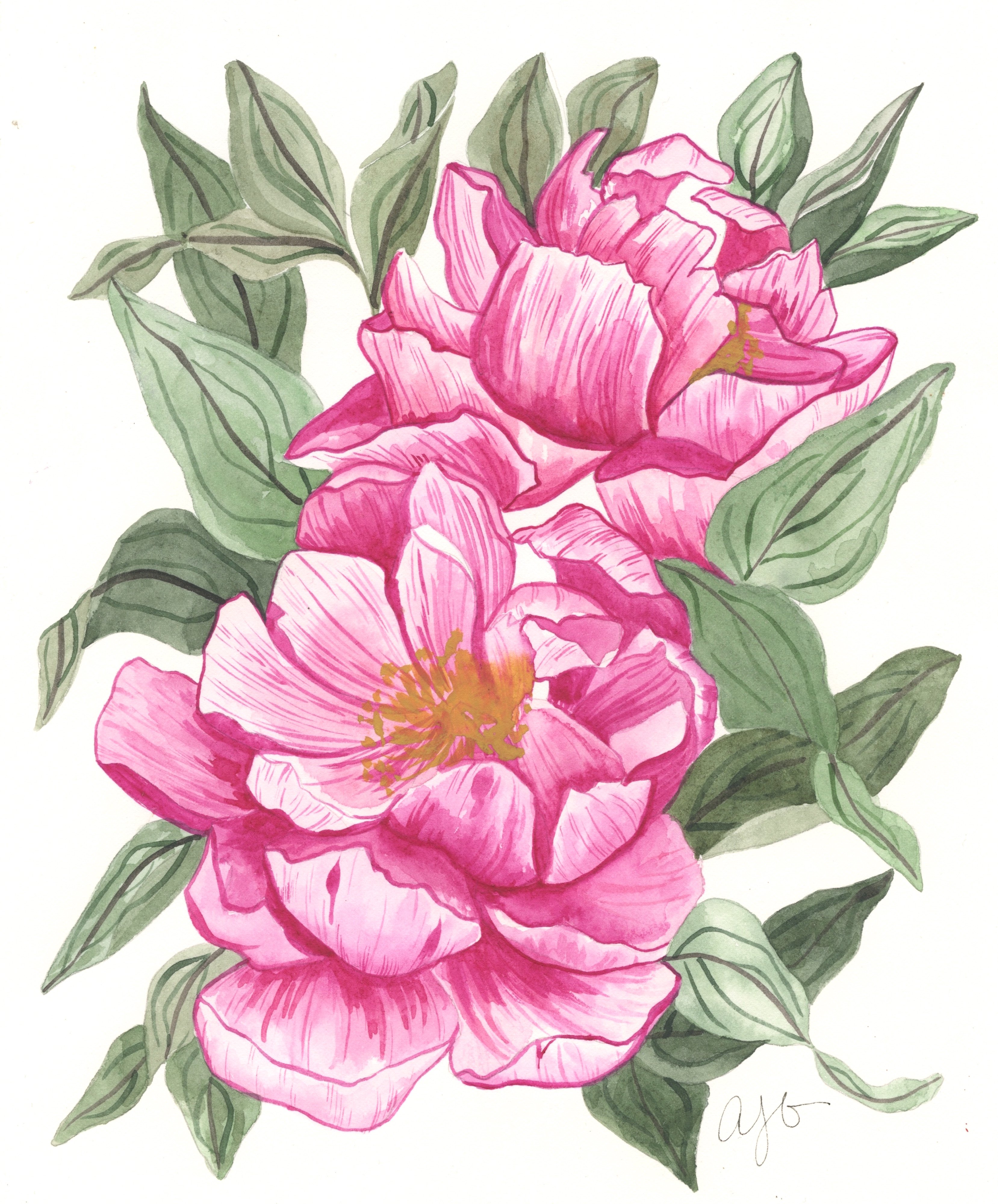 3315x4000 Love And Friendship Fine Art Watercolor Print - Flower Art Watercolor