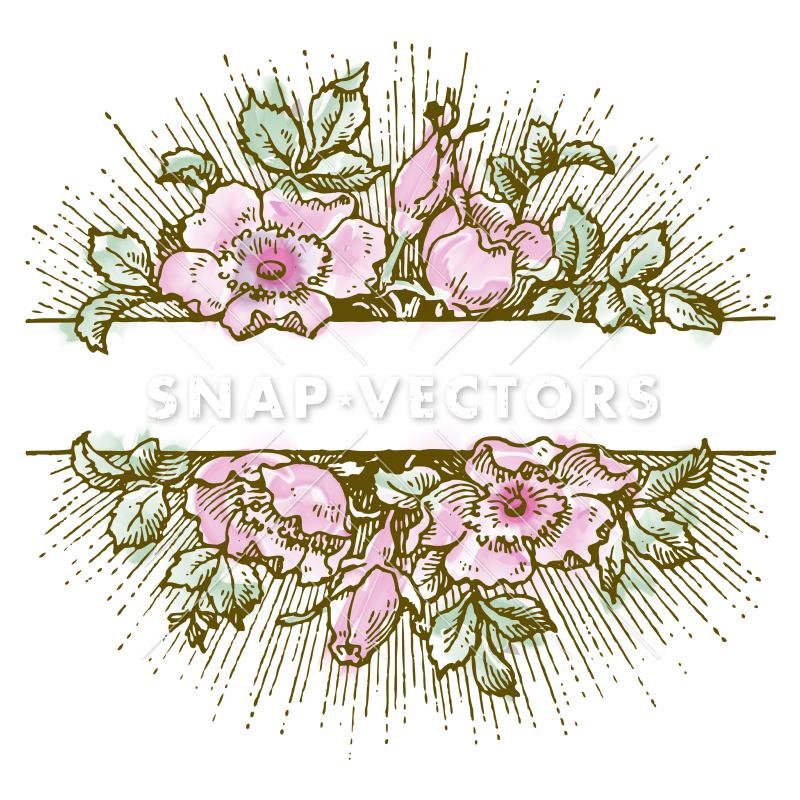 800x800 Vector Clipart Watercolor White Flower Frame - Flower Frame Watercolor