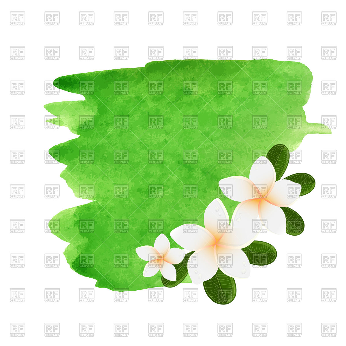 1200x1200 Watercolor Plumeria Flower Frame Vector Image Vector Artwork Of - Flower Frame Watercolor