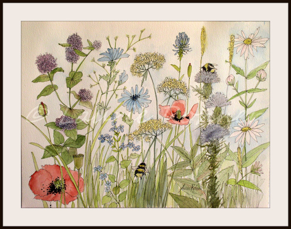 597x470 Garden Flower Illustration Botanical Watercolor Wildflowers Herbs - Flower Garden Watercolor