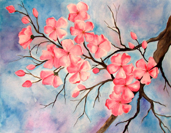 591x460 Cherry Blossom Watercolor Painting - Flower Watercolor Painting For Beginners