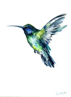 236x322 509 Best Art Watercolor Birds Images Watercolor - Flying Bird Watercolor